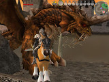 Capture