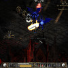 Capture de Diablo II