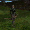 Capture de Ryzom