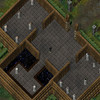 Capture de Ultima Online: Stygian Abyss