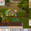 Capture de Flyff: Fly For Fun
