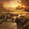 Paysage de steppe