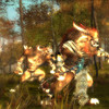 Capture de Guild Wars: Eye of the North