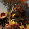 Capture de Guild Wars 2