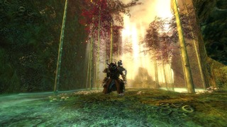 Image de Guild Wars 2 #122751 Image de Guild Wars 2 #122751