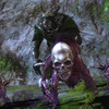 Capture de Guild Wars 2