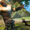 Capture de Guild Wars 2
