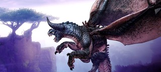 Dracaille Dracaille