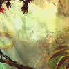 Capture de Guild Wars 2