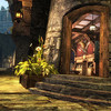 Capture de Guild Wars 2