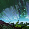 Capture de Guild Wars 2