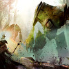 Capture de Guild Wars 2