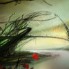 Capture de Guild Wars 2