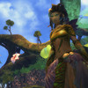 Capture de Guild Wars 2
