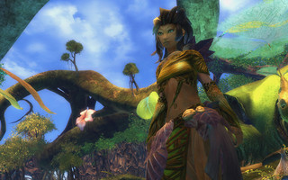 Sylvari Sylvari
