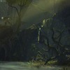 Capture de Guild Wars 2