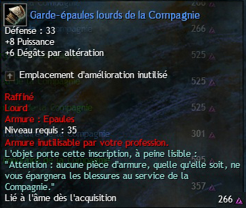 Guild Wars 2 - S'entraîner avec la Compagnie