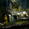 Sylvaris