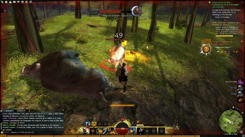 Guild Wars 2 - Modification de l'interface et ajustements des classes, de bonnes idées ?