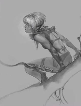 Image de #26637 Image de #26637
