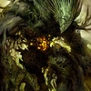 Capture de Guild Wars 2