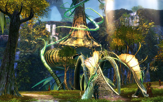 Bosquet des Sylvaris Bosquet des Sylvaris