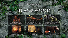 Promo Gamesplanet : -10% sur la prochain extension Blackwood d'Elder Scrolls Online