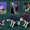 Evolutions du Loup Bleu