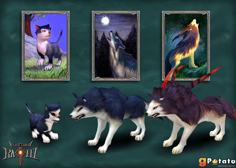 Evolutions du Loup Bleu