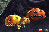 Halloween dans Rappelz Halloween dans Rappelz