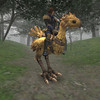 Capture de Final Fantasy XI