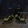 Capture de Final Fantasy XI