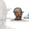 Capture de Final Fantasy XI