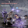 Capture de Final Fantasy XI