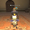 Capture de Final Fantasy XI