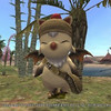 Capture de Final Fantasy XI