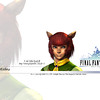 Capture de Final Fantasy XI