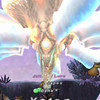 Capture de Final Fantasy XI
