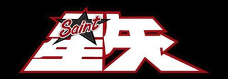 Logo de Saint Seiya Online Logo de Saint Seiya Online