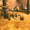 Capture de Last Chaos