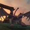 Une Wyvern