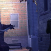 Capture de The Secret World