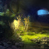 Capture de The Secret World