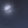 Capture de The Secret World