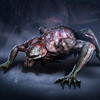 Capture de The Secret World