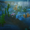 La p�che dans FreeRealms