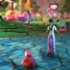 Festival des Coeurs 2012