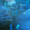 La p�che dans FreeRealms