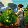 Capture de FreeRealms