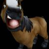 Pets  Poney